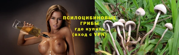 гидропоника Верея